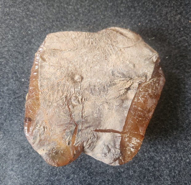 Kauri Gum Carousel 3