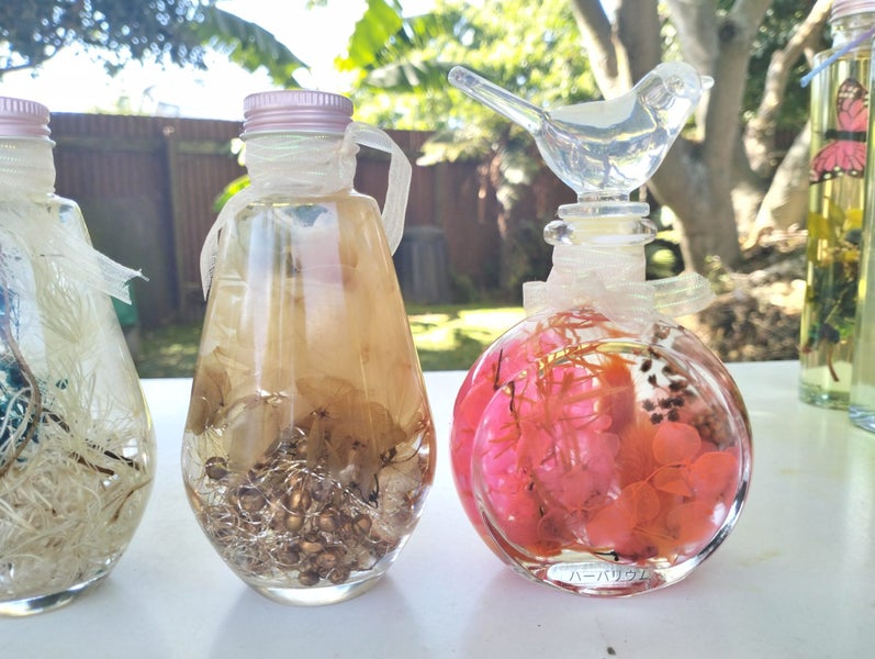 Herbarium Carousel 8