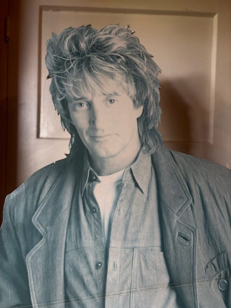 Rod Stuart Carousel 2