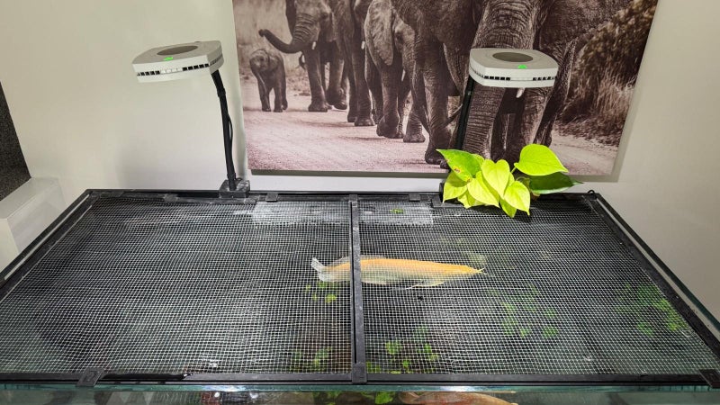 Tank & Fish Red Sea reefer 425XL Carousel 10