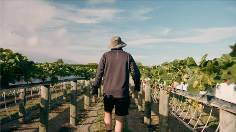 Connings Market Garden Carousel 1