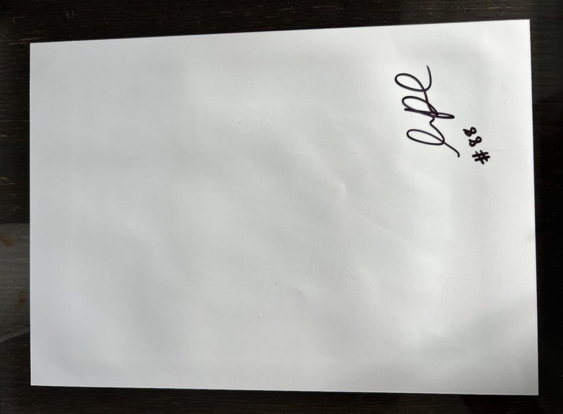 Super Rare Tamatha Paul KUINI Print - Signed, Framed, one-of-one Carousel 2