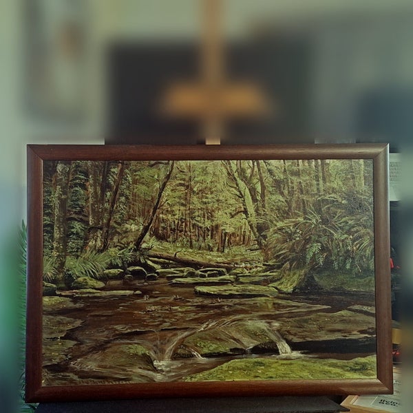 Kaipo River,Kaimanawa Forest Park, Turangi, New Zealand Carousel 1