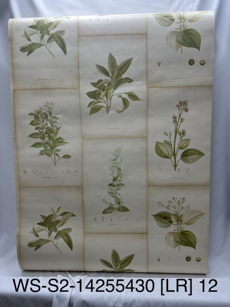 Wallpaper Florals/Decoratives 1: Multiple Patterns! Carousel 2