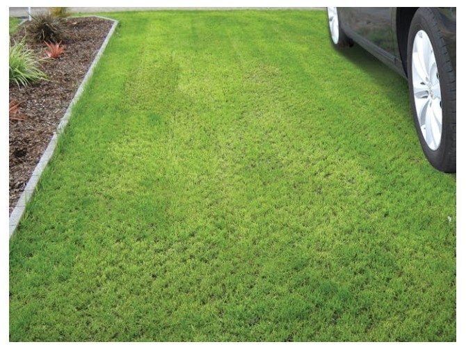 Strol SurePave Permeable Pavers Black - 6 Pack Carousel 2