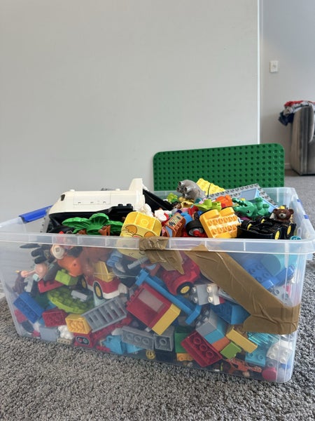 DUPLO Bulk box Carousel 1
