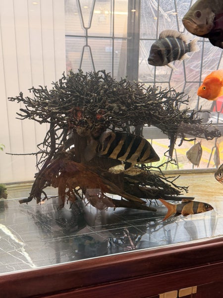 Large Aquarium Driftwood – Bonsai Tree Style Carousel 2