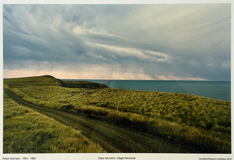 ROBIN MORRISON Cape Saunders Otago Peninsula Carousel 1