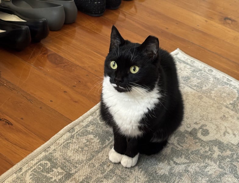 Samantha - a special little girl Carousel 1