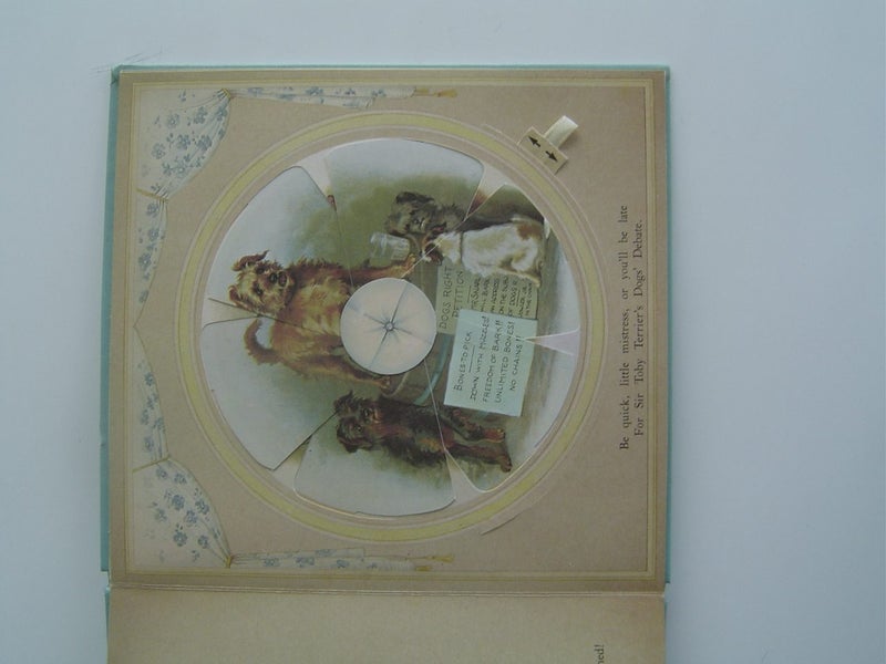 Revolving Pictures and Sunny Days 2 Books Carousel 20