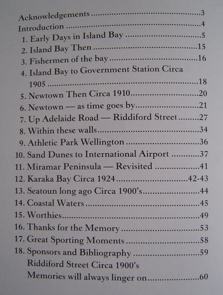 On The Edge of Our City Wellington J & B Kenneally Carousel 2