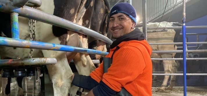 Pamu - Farms of New Zealand Carousel 2