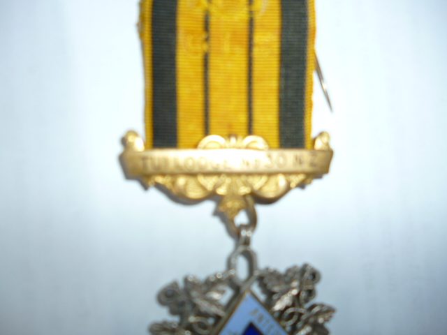 stunning buffaloes lodge medal.gold and silver Carousel 2