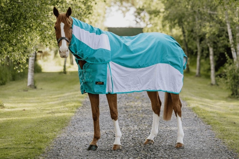 Flair Breezer Mesh 1200D Combo Carousel 1