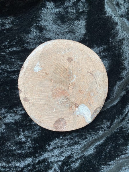 Fossil ammonite in rock Carousel 2