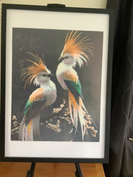 Framed Diamond Painting- Exotic Birds 68.5cm x 48.5cm Carousel 1