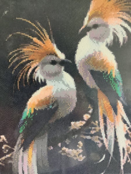 Framed Diamond Painting- Exotic Birds 68.5cm x 48.5cm Carousel 2