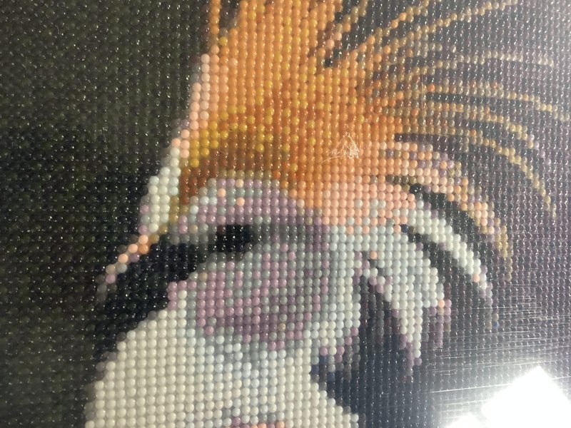 Framed Diamond Painting- Exotic Birds 68.5cm x 48.5cm Carousel 4