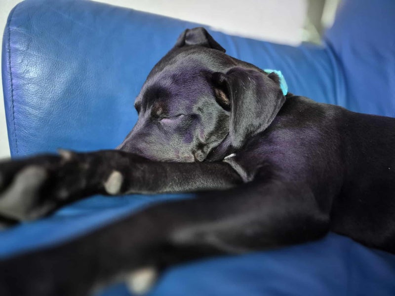 Ace - Chance 4 Change Carousel 2