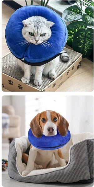 Dog Inflatable Collar Carousel 9