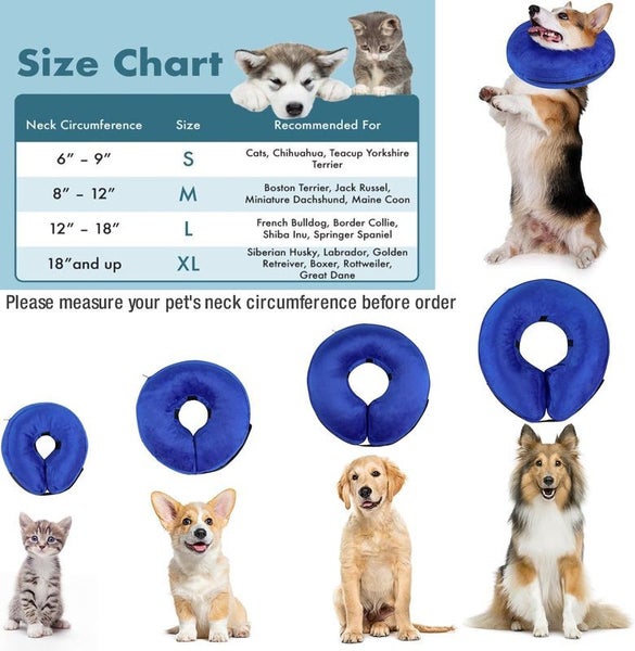 Dog Inflatable Collar Carousel 10