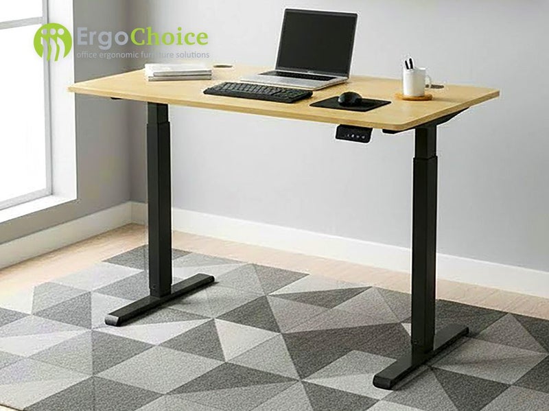 FlexiGO Electric Adjustable Standing Desk 120cm Carousel 1