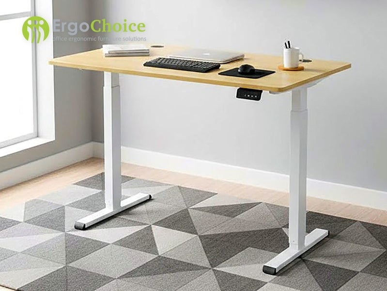 FlexiGO Electric Adjustable Standing Desk 120cm Carousel 1