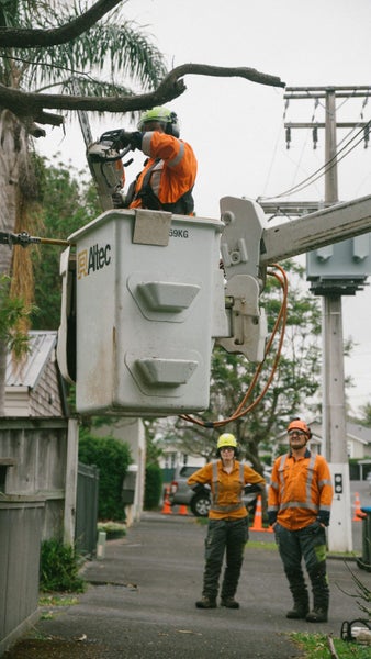 Treescape Carousel 3