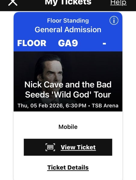 Nick Cave & Bad seeds Carousel 2