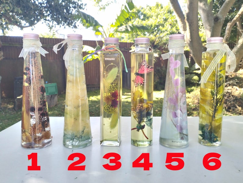 Herbarium Carousel 1