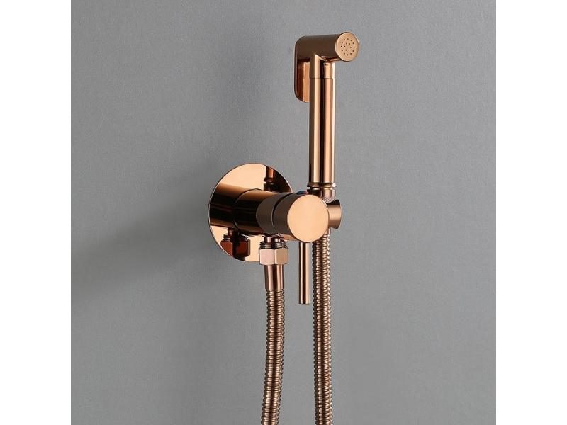 Toilet Bidet Spray Carousel 1