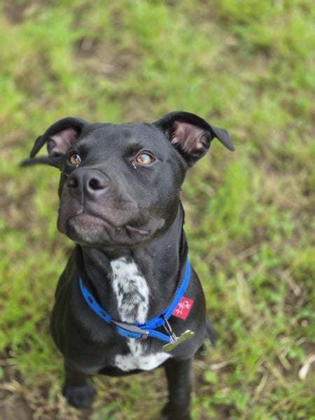 Ace - Chance 4 Change Carousel 1