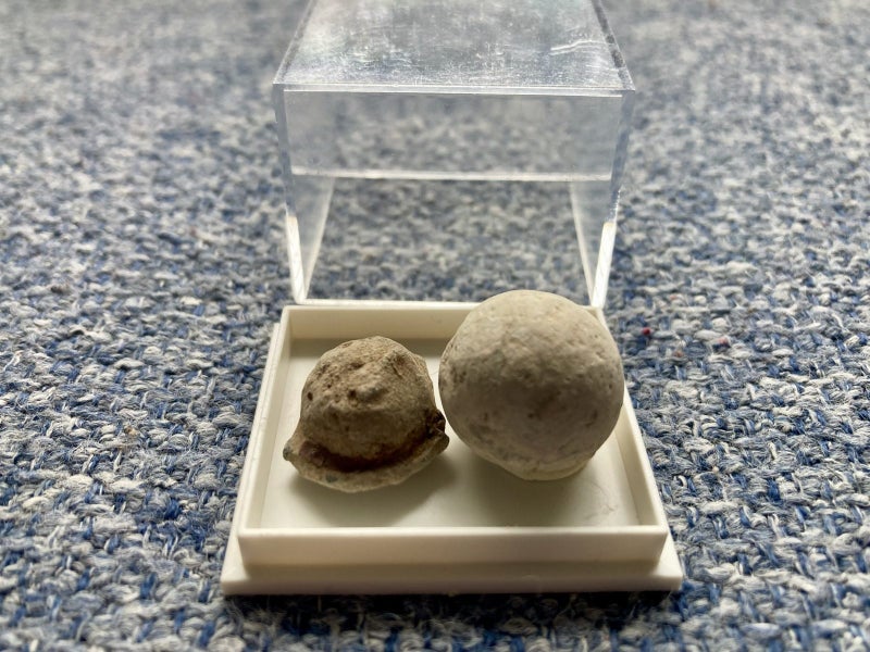 Pair of genuine musket balls, dating 1818-1853. North Island Find! Carousel 1