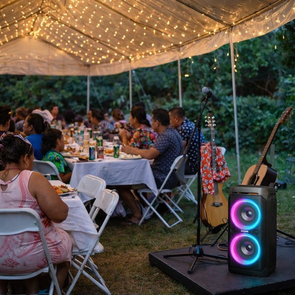 100W Portable Bluetooth Speaker – W-King T11 – Ex-Demo Carousel 2