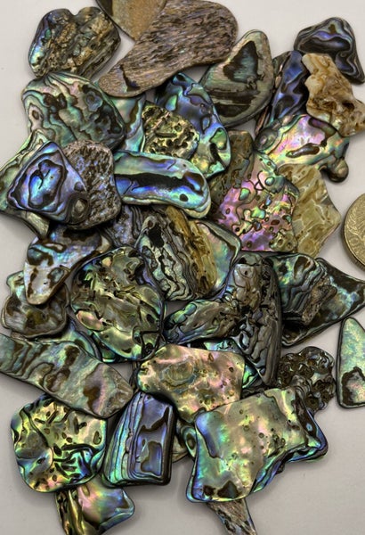 Tumbled Paua Shell - 50 g bag - Xtra Fine | Fine | Small | Medium | Large | Rims Carousel 1