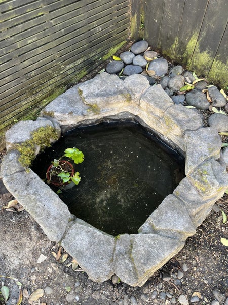 Fibreglass Pond Carousel 1