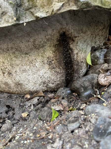 Fibreglass Pond Carousel 8