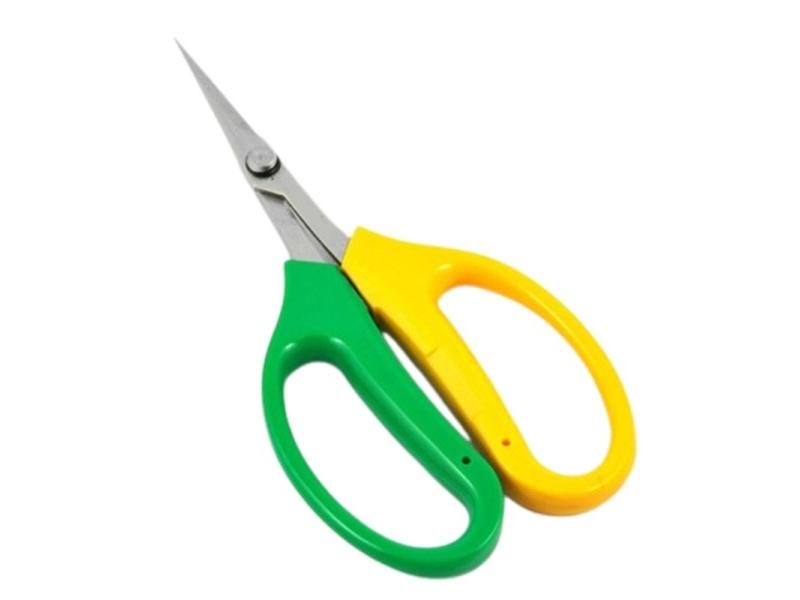 Pruning Shears Scissors Carousel 1