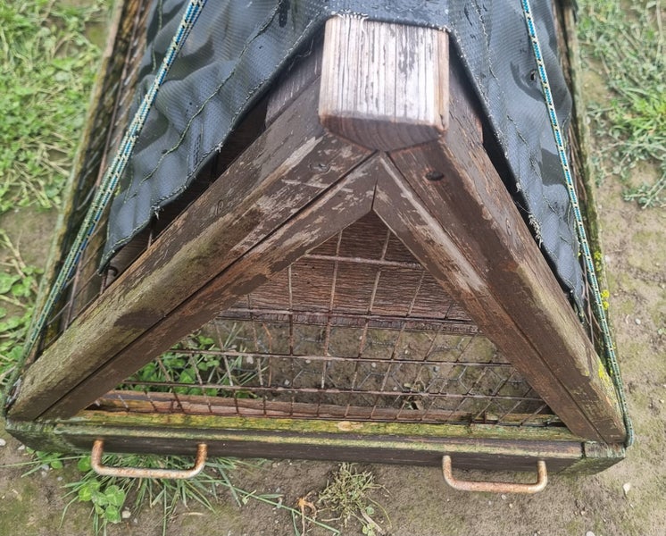 Rabbit Hutch Carousel 5