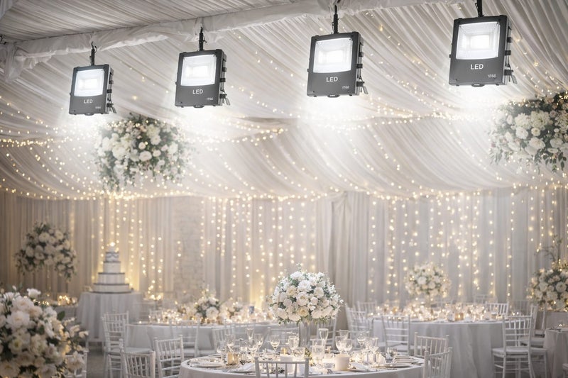 LED Stage Lights – 50W – RGB, White, or Warm White – 240V – Outdoor Rated Carousel 3