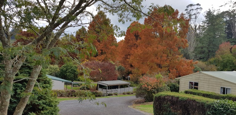 Te Wera Valley Lodge Campground Carousel 1
