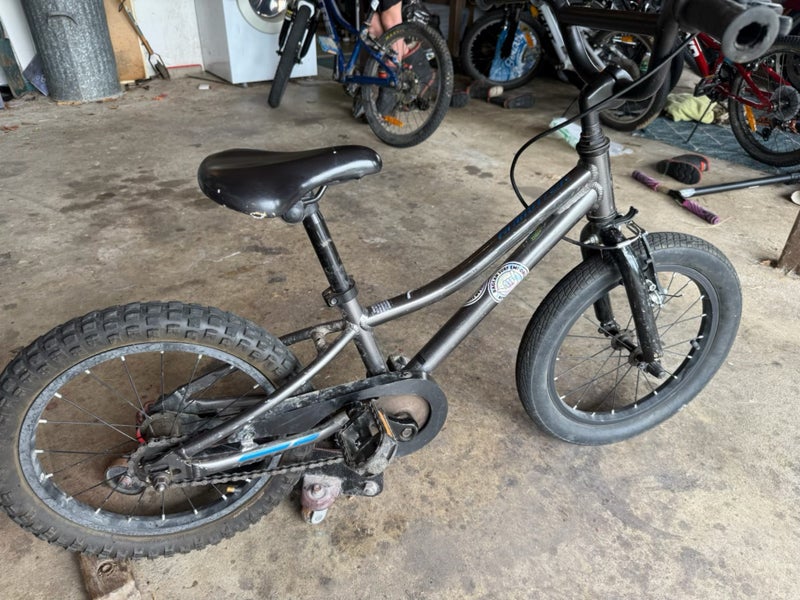 Giant Animator 18” Carousel 2