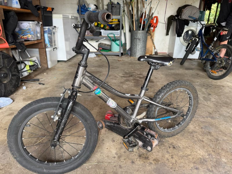 Giant Animator 18” Carousel 1