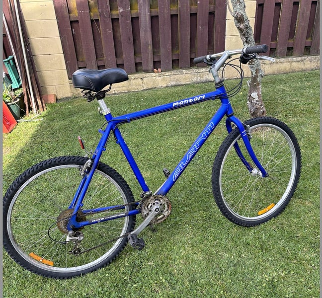 Montari Bike Carousel 1