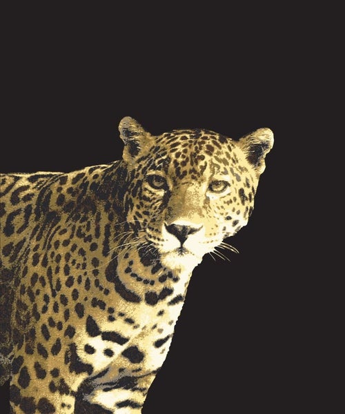 HALF PRICE SALE Plush Leopard Print Mink Blanket HALF PRICE SALE Carousel 1