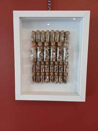 framed seashells Carousel 1