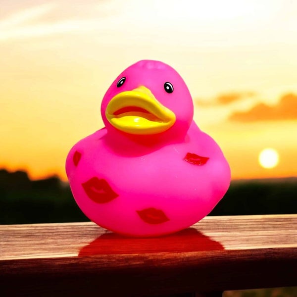 Personalise Your Rubber Ducks Carousel 1