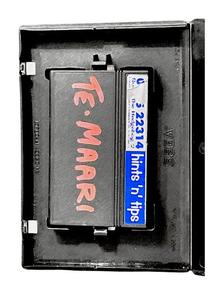 Sonic the Hedgehog 2 (Sega Master System) Carousel 3