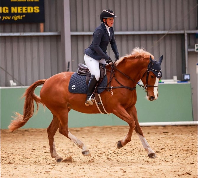 Cracking NZWB All Rounder Carousel 1