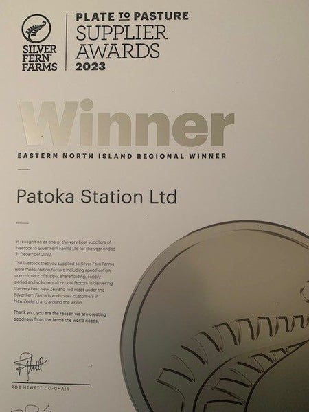 Patoka Station Carousel 11